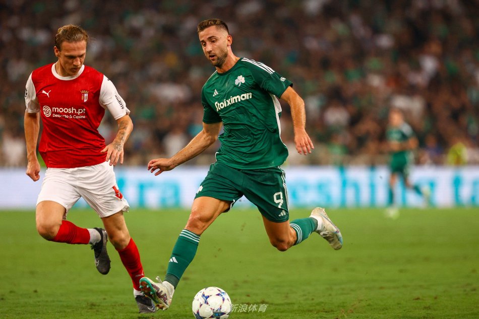 的文化纽带 的文化纽带